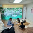 꼬미꼬미ㅡsheep(양)이야기1 이미지