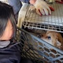 구룡농장 이미지