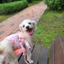 조재진 동물병원 이미지