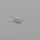 풍전농장 이미지