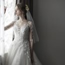 그린블랑 이미지