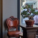 라시트포(LACITPO) 이미지