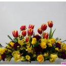 목련초등학교 이미지