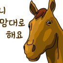 리틀베프 - 이천시 경충대로 2737 | 리틀베프