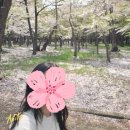 Breeze of Spring from Hokkaido 이미지