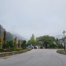 신기배수장1 네이버블로그