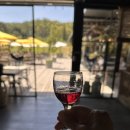 (주)데일약품 | 호주 시드니 여행 준비물 : ETA, 이심, 환전 등 필수 체크리스트