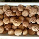 서우 농장 이미지