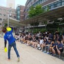 독(DOG)도 이미지