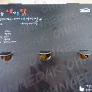 내가 쏜 닭 이미지