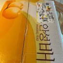 안성농장 | 농라 안성아저씨농장 신고배 공품 후기🍐