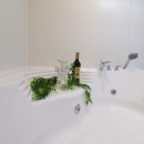 동화카라반 이미지