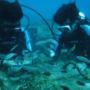 학포웰빙가 이미지