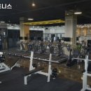 원퍼센트 피트니스 이미지