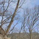 제천유물전시관 | [ 충북 제천·단양여행 1일차 ] 제천의 명소를 찾아