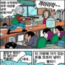 왓슈