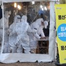 용산-현장-56 이미지