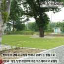 개인주택 | 방치된 마당에서 사계절 언제나 푸르른 정원으로, 양양 개인주택 정원 리모델링 시공 후기