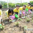 신원동 청룡텃밭 이미지