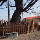 함양초등학교 이미지