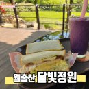 월출산 달빛 푸른집 | [강진/경포대] 월출산이 한눈에 보이는 정원 있는 카페 달빛정원