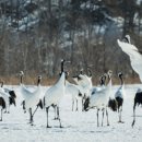 구사샘물 이미지