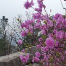 수철리 이미지