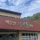 백운산 캠핑장 | 백운산 치유의 숲 추천! 힐링과 체험 예약 방법 정리