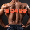 라이프짐 휘트니스 네이버블로그