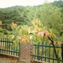 정다운마을 이미지