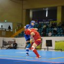 태극 무술관 이미지