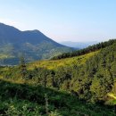 지리산꾸지뽕농장