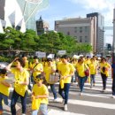 썬플라워 이미지