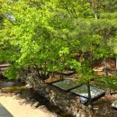 펜션 숲 이미지