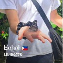 가야농장 | 아이와 함께하는 보홀 육지투어| 나비농장 솔직후기, 꼭 가야 할까?
