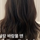 이지투하이드로 네이버블로그