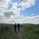 10월산행 태안 신두리 해안사구둘레길 이미지