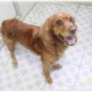 코코목욕 이미지