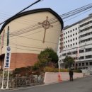 완월동130 이미지