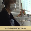 학계농장 Daum카페
