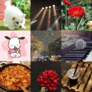 나에게 용훈오빠는⋯🐶❤️💕 이미지