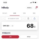 인생은한방차