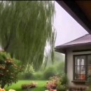 &#34;전우가 좋아&#34;---(725) &#34;2025/5/2일 유공 전우회 모임&#34; &amp; &#34;헌법재판소&#34; 이미지