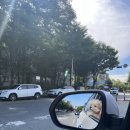 306 퍼피 이미지