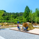 경상북도교육청김천오토캠핑장 이미지