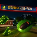 반딧불이 이미지