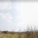 남조로수망교차로 4 이미지