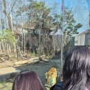 11650-17-35-5 | 에버랜드 워킹사파리 35개월 아기랑 주말 방문 상세 후기