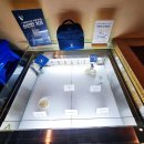 바로 무브먼트 | 압구정로데오 브런치 메뉴 추천 무브먼트 치즈 요리 맛집