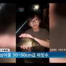 청춘물고기 이미지